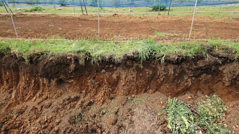 【千葉県立農業大学校】土壌と肥料の基礎について学びました
